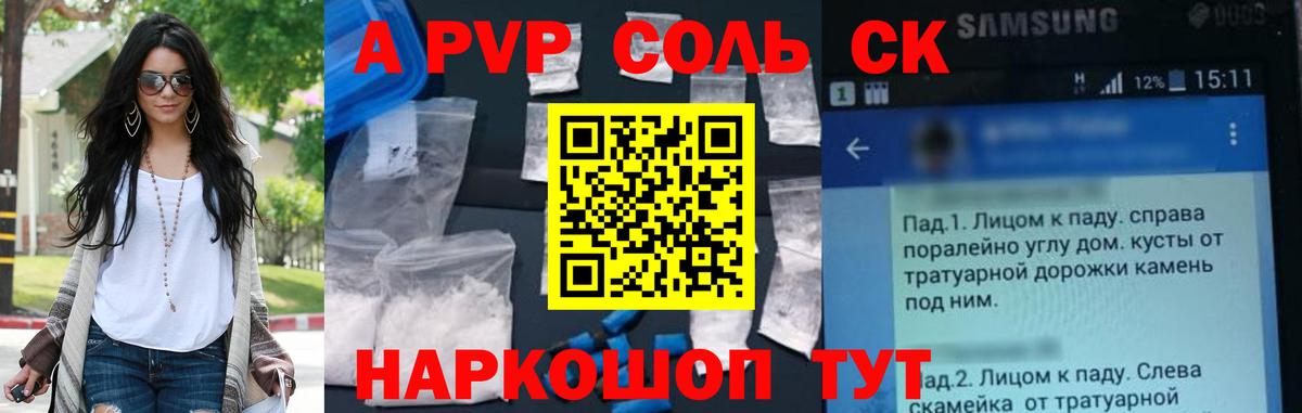 APVP СК Бердск