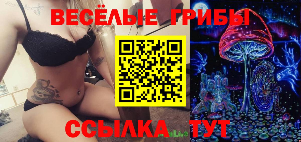Псилоцибиновые грибы MAGIC MUSHROOMS Бердск