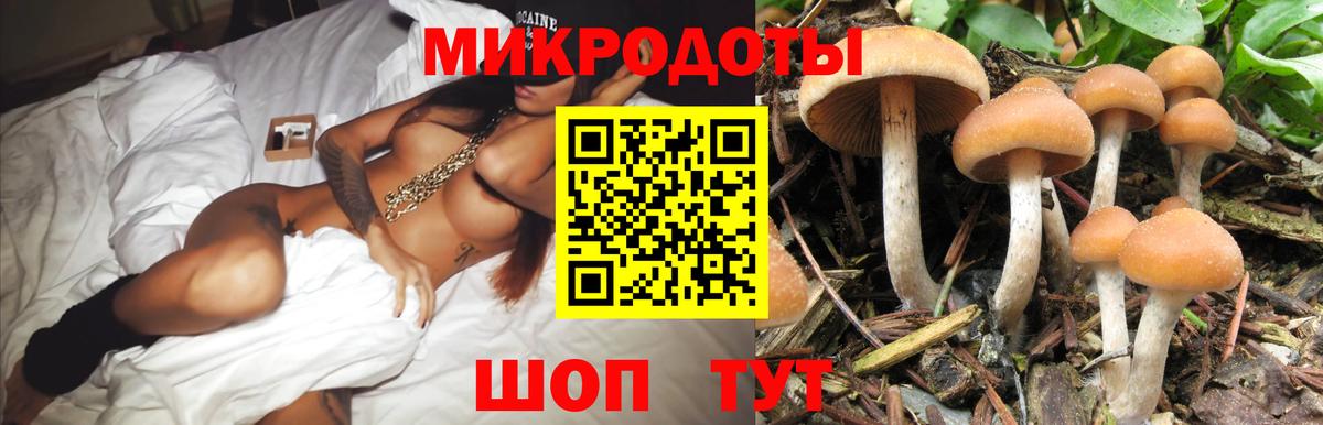 Псилоцибиновые грибы ЛСД  Псилоцибиновые грибы мухоморы  Бердск  Вход с VPN 