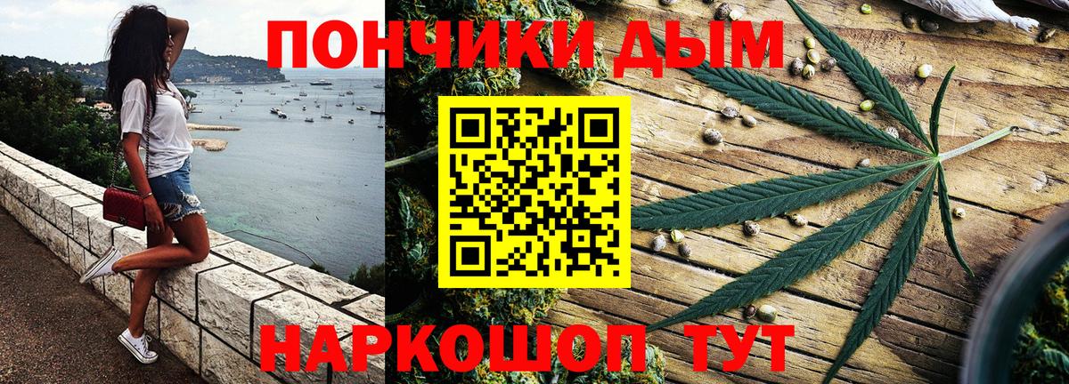 Бошки Шишки план Бердск